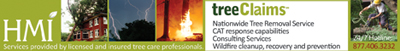 Tree Removal Services